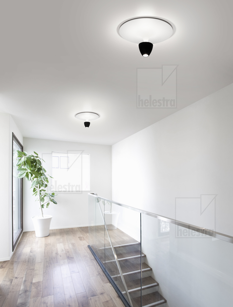 Helestra REDO  lampada soffitto alluminio nero - bianco