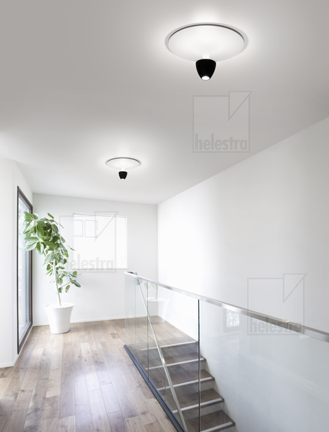 Helestra REDO  ceiling luminaire aluminium black - white