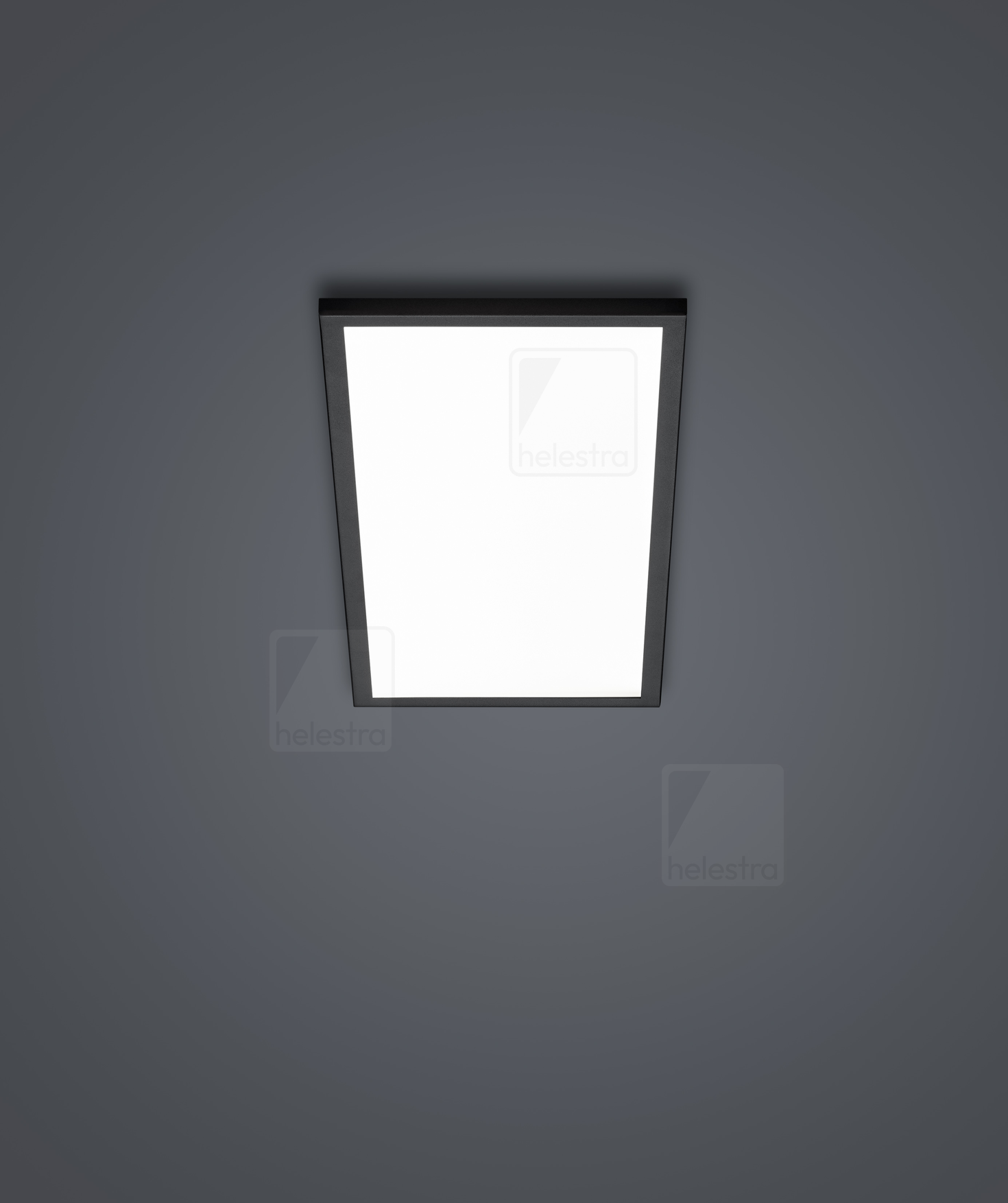 Helestra RACK  Plafonnier aluminium noir mat