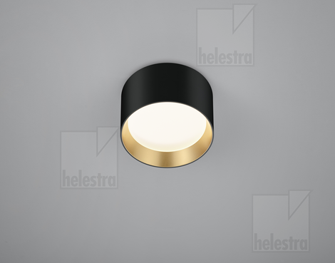 Helestra ENIO  ceiling luminaire aluminium black -gold