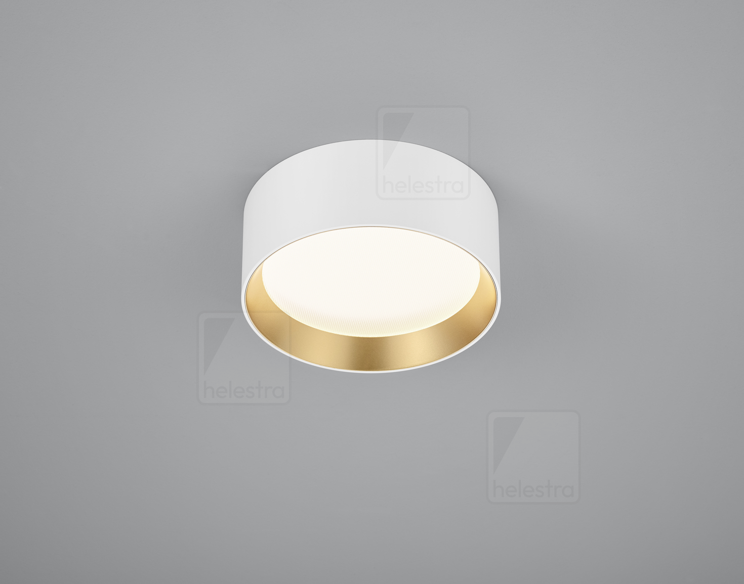Helestra ENIO  Plafonnier aluminium weiss - gold