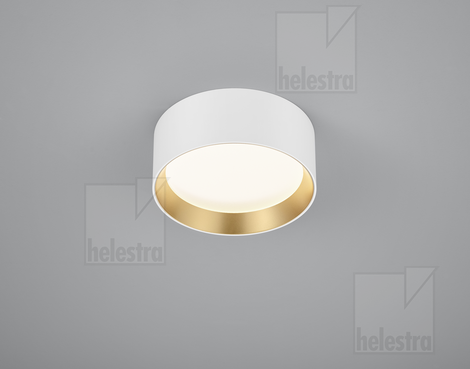Helestra ENIO  Deckenleuchte Aluminium weiß - gold