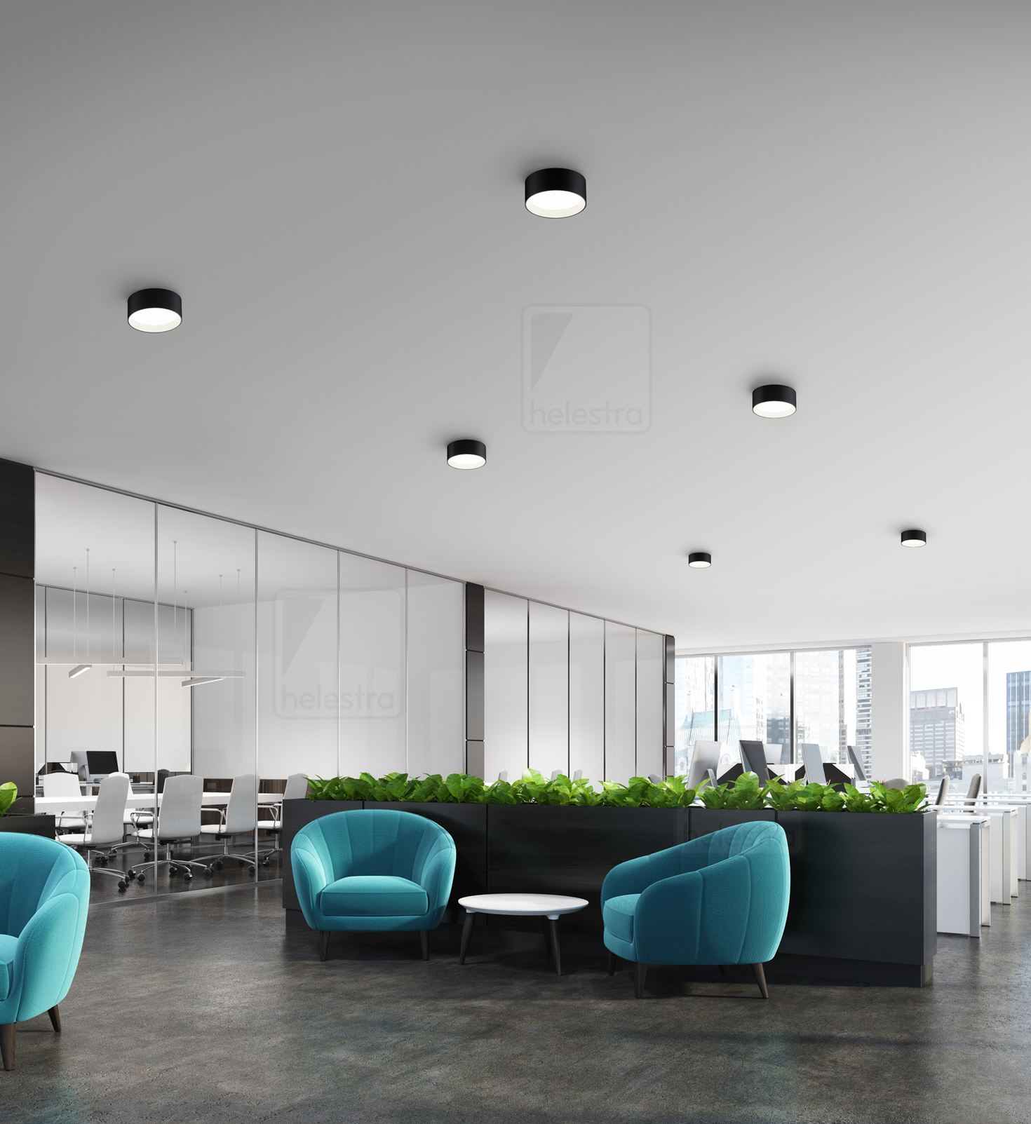 Helestra ENIO  Plafonnier aluminium noir - blanc