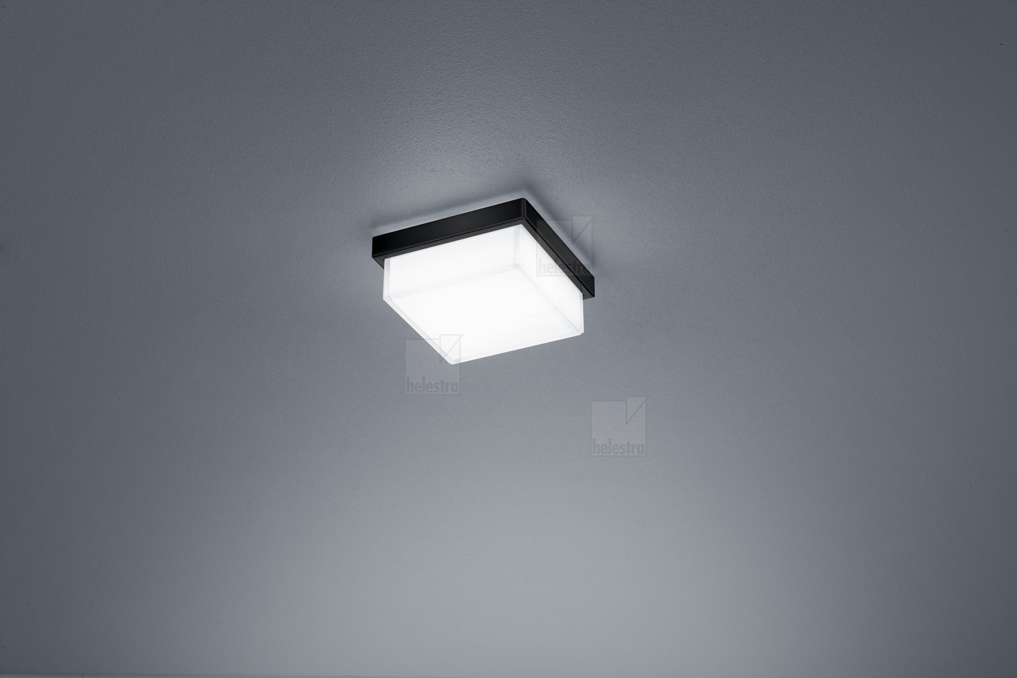 Helestra COSI  applique Plafonnier Acier noir mat