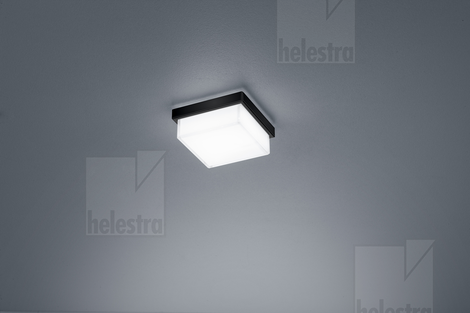 Helestra COSI Wand-/Deckenleuchte Stahl mattschwarz