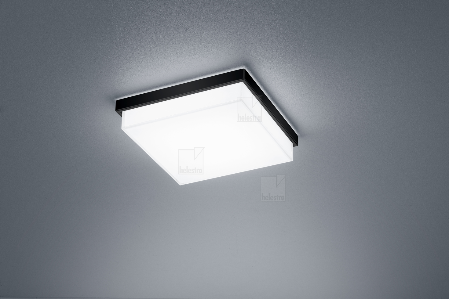 Helestra COSI  Plafonnier Acier noir mat