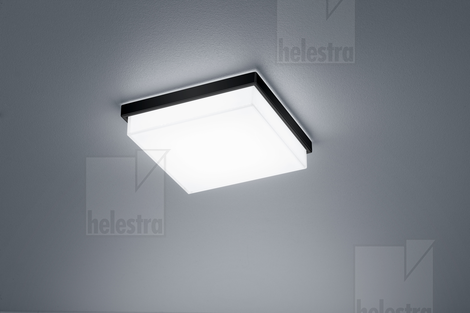 Helestra COSI  ceiling luminaire steel mat black