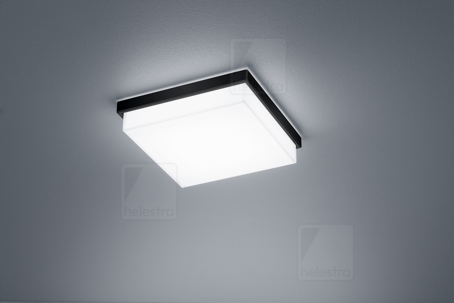 Helestra COSI  lampada soffitto acciaio nero opaco