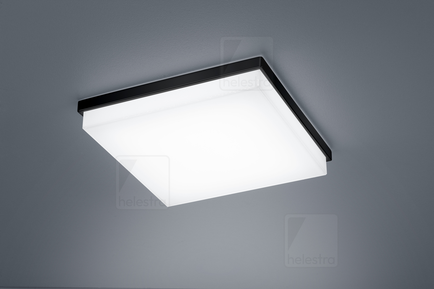 Helestra COSI  Plafonnier Acier noir mat