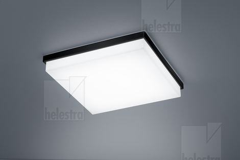 Helestra COSI  ceiling luminaire steel mat black