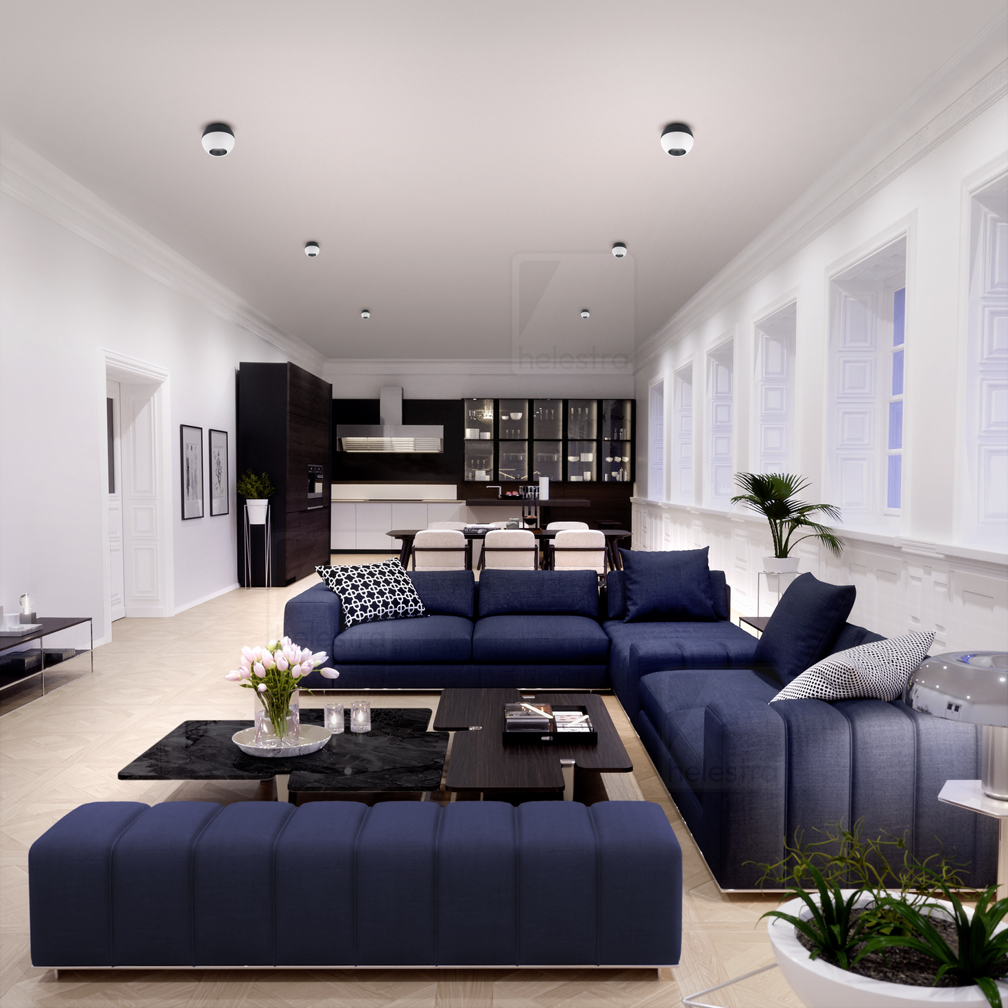 Helestra INEO  ceiling luminaire aluminium mat black