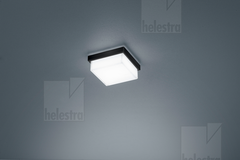 Helestra COSI wall/ceiling-luminaire steel mat black