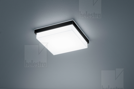 Helestra COSI  ceiling luminaire steel mat black