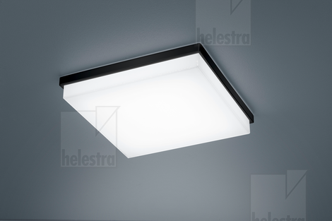 Helestra COSI  ceiling luminaire steel mat black