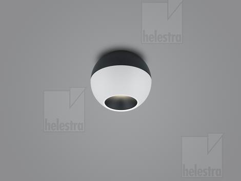 Helestra INEO  ceiling luminaire aluminium black - white