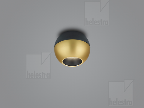 Helestra INEO  ceiling luminaire aluminium black -gold