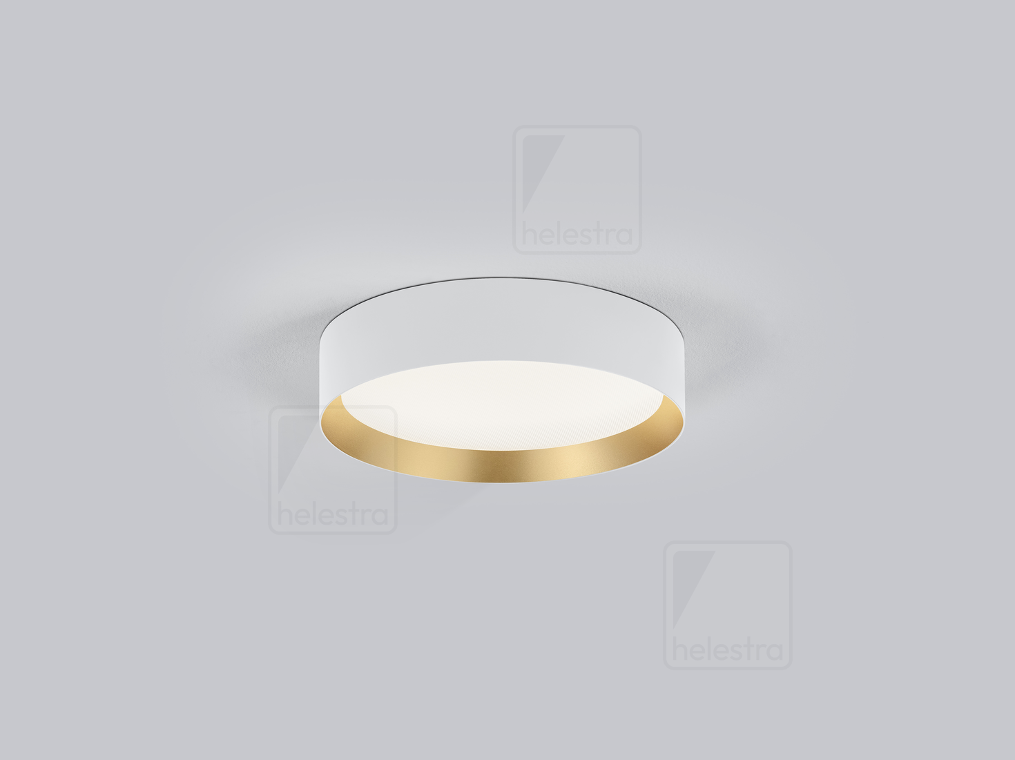 Helestra ENIO  Plafonnier aluminium weiss - gold