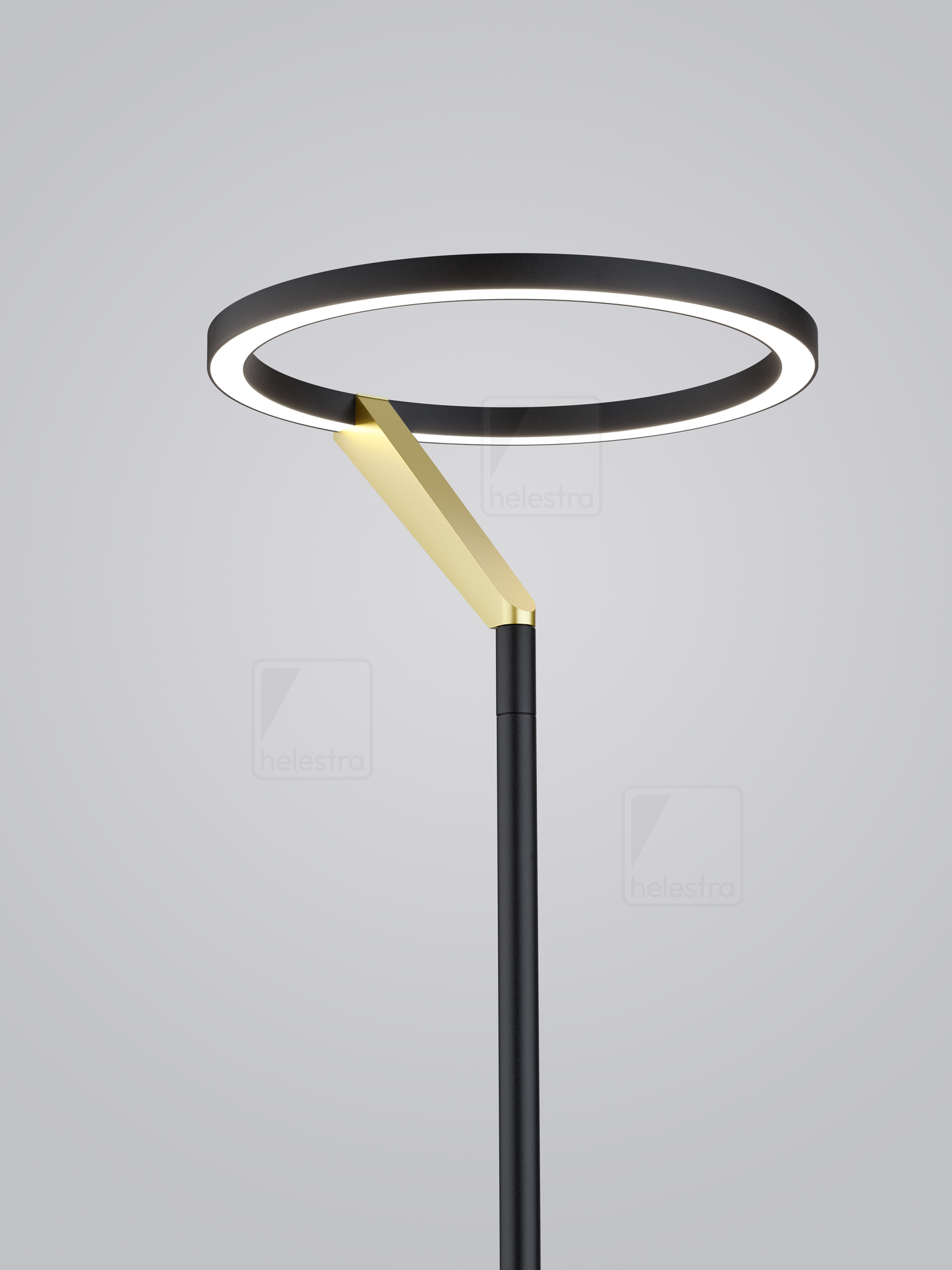 Helestra CHAZ  floor luminaire aluminium black -gold