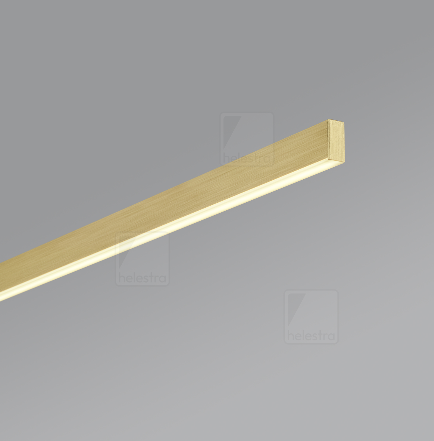 Helestra LOOPY  Pendelleuchte Aluminium mattgold