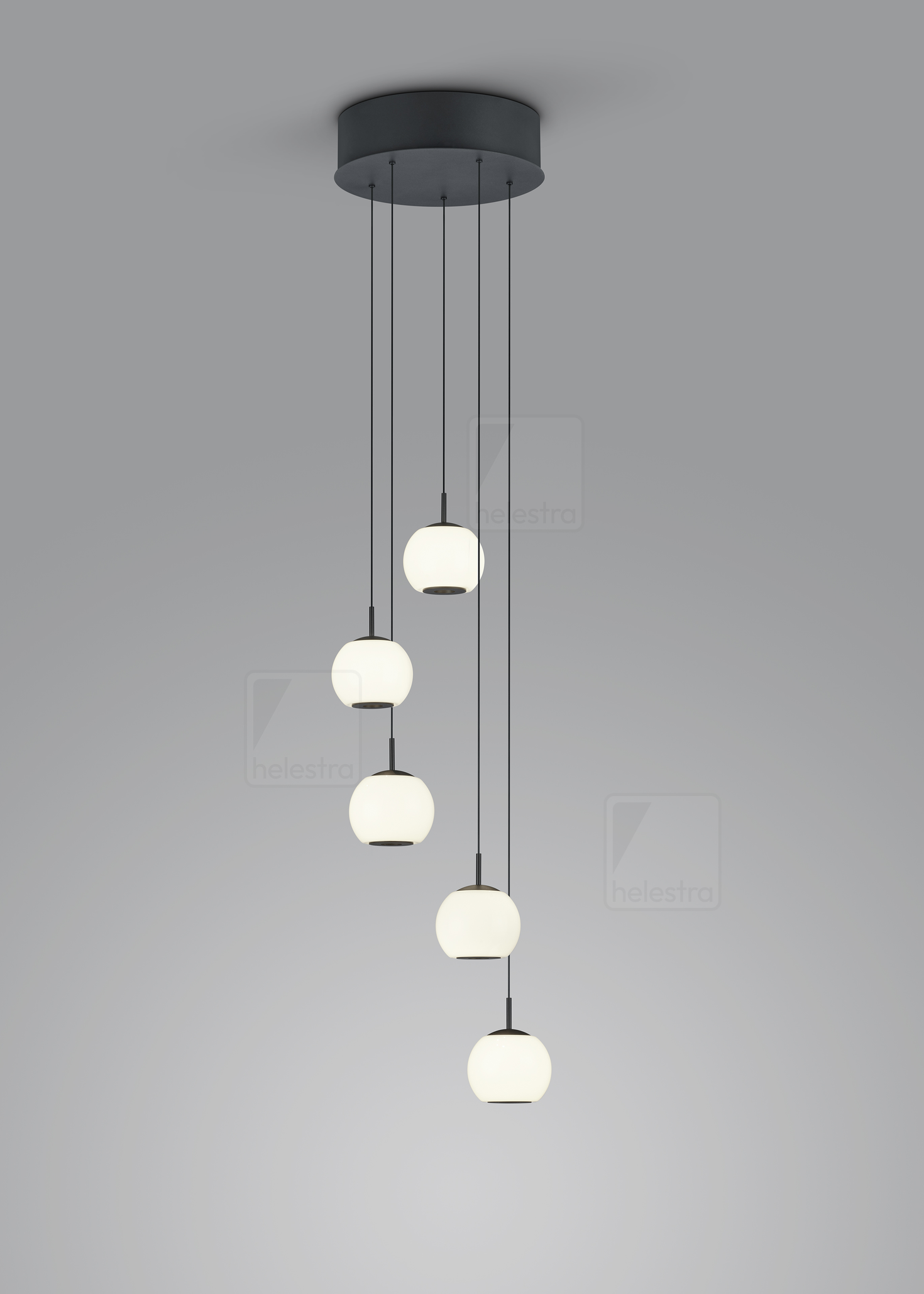 Helestra BONO  suspension lumineuse aluminium noir mat