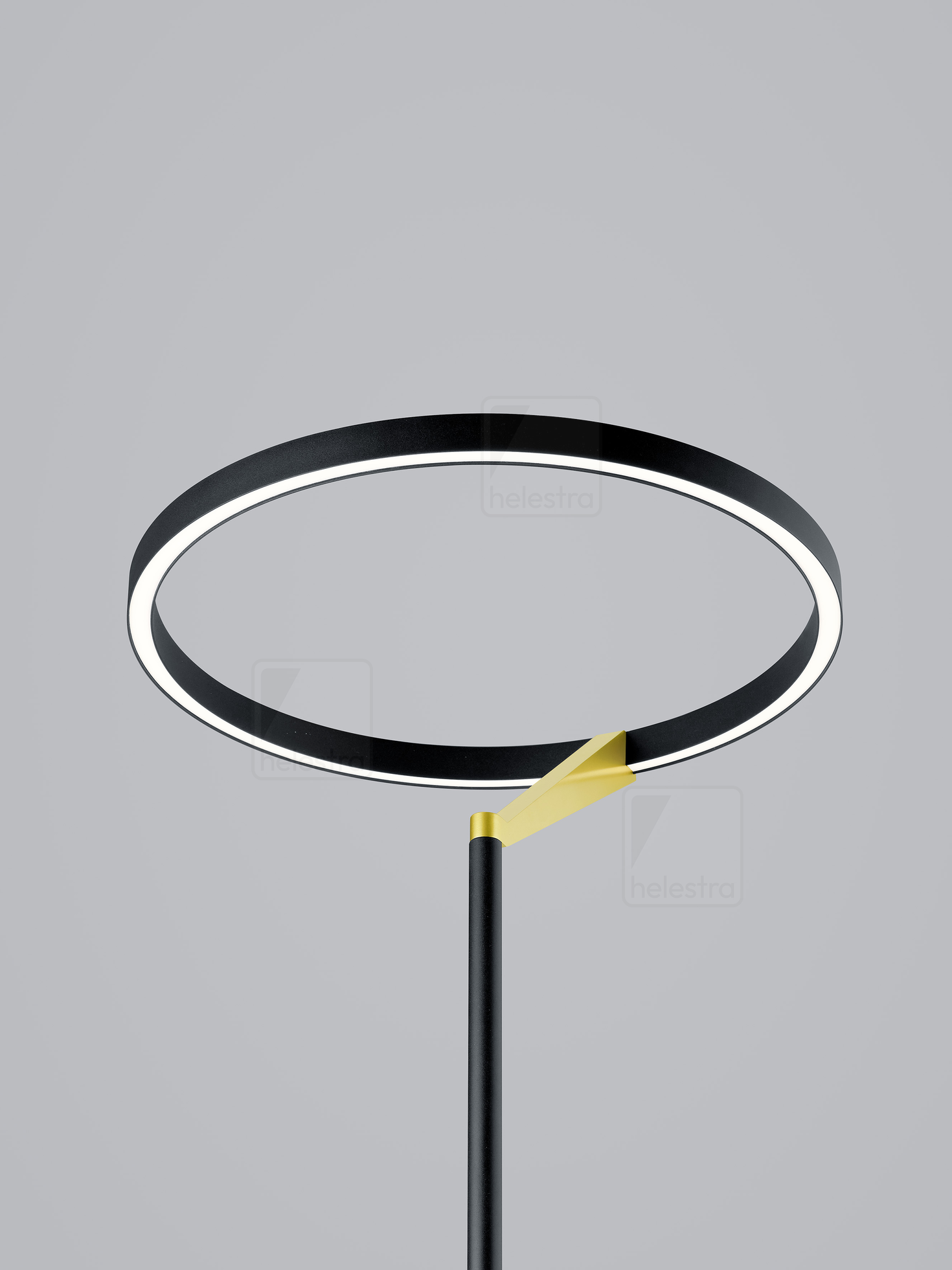 Helestra CHAZ  floor luminaire aluminium black -gold