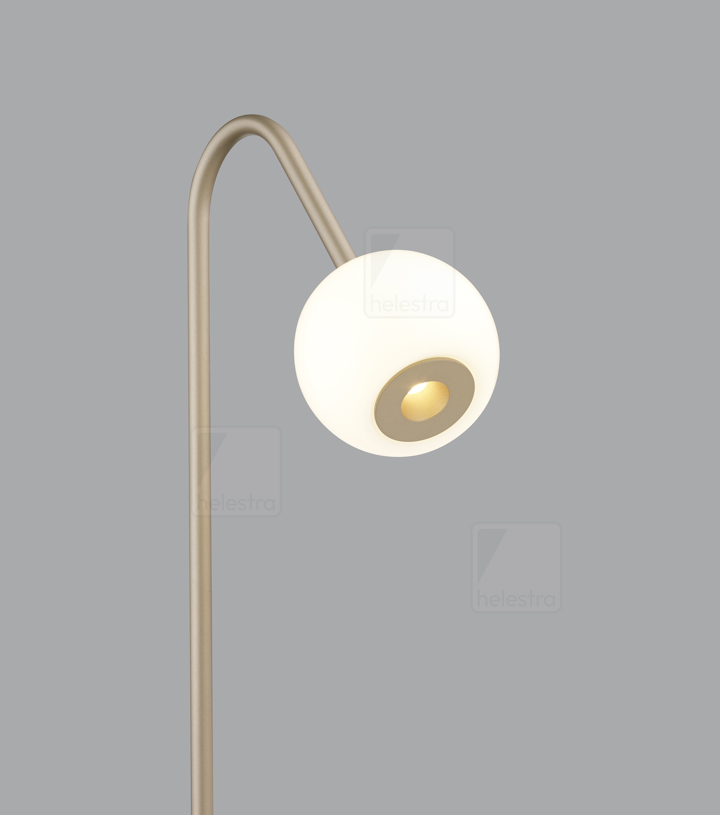 Helestra BONO  floor luminaire aluminium coffee