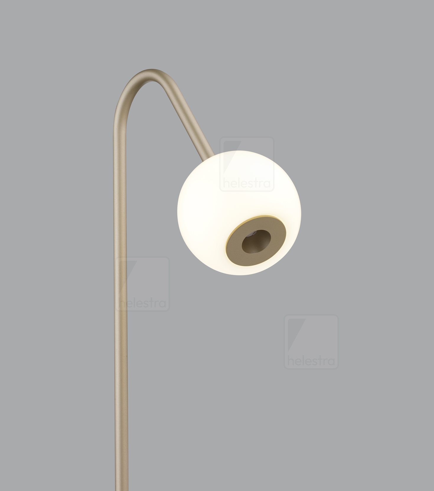 Helestra BONO  floor luminaire aluminium coffee