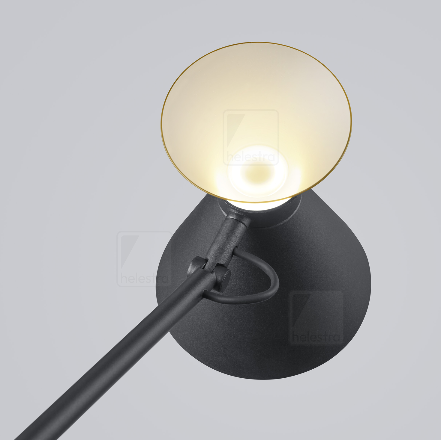 Helestra LUK  lampadaire aluminium noir - or