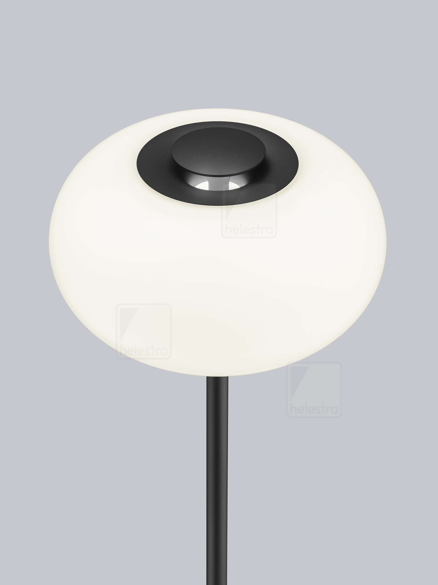 Helestra SAPO  floor luminaire steel mat black