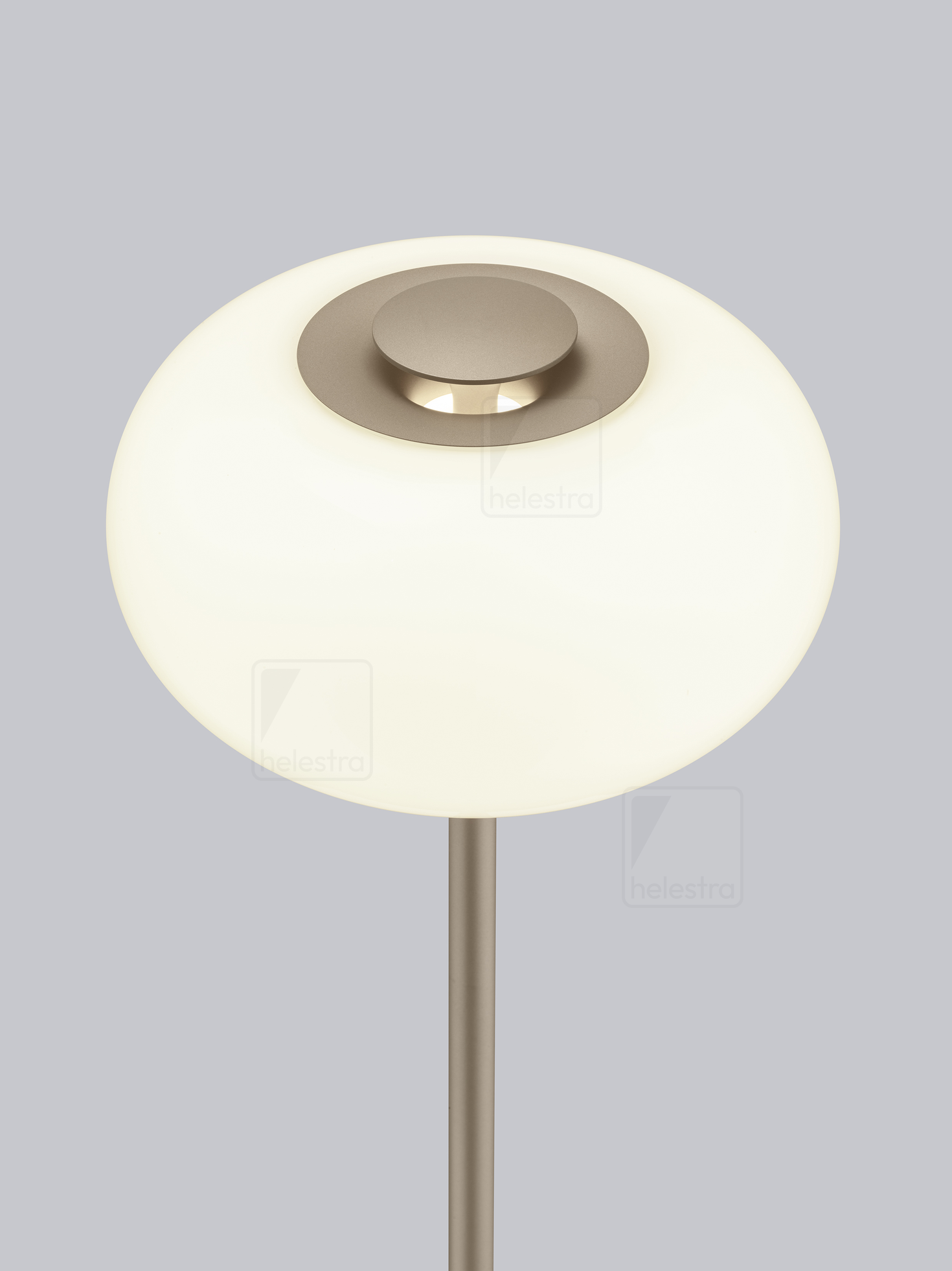 Helestra SAPO  lampada da terra acciaio Caffè 