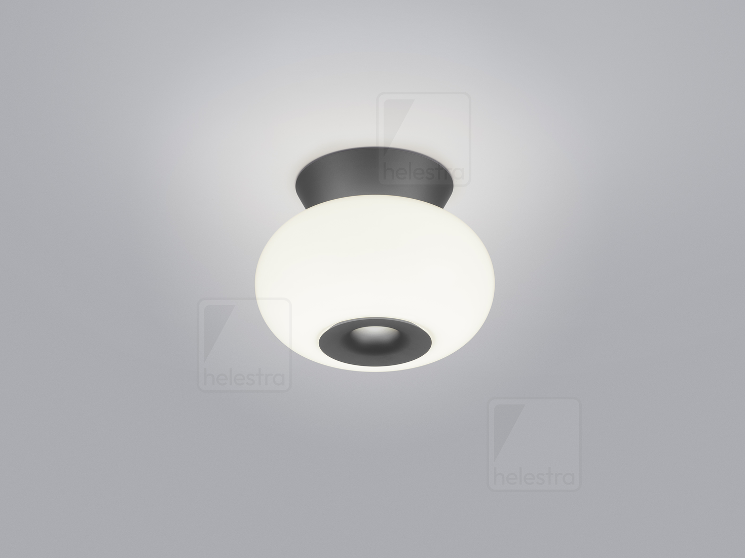 Helestra SAPO  ceiling luminaire aluminium mat black