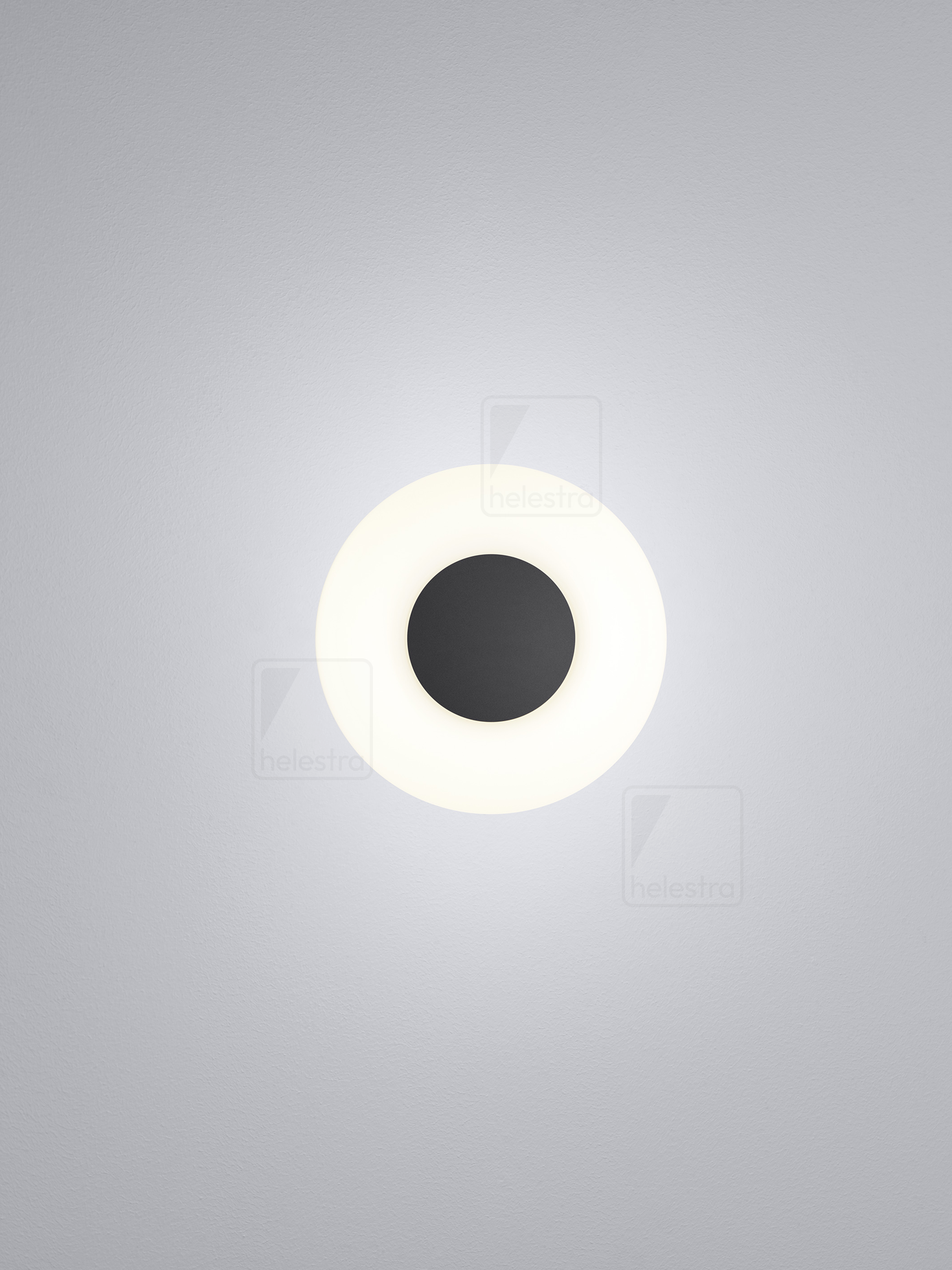 Helestra SAPO  wall luminaire aluminium mat black
