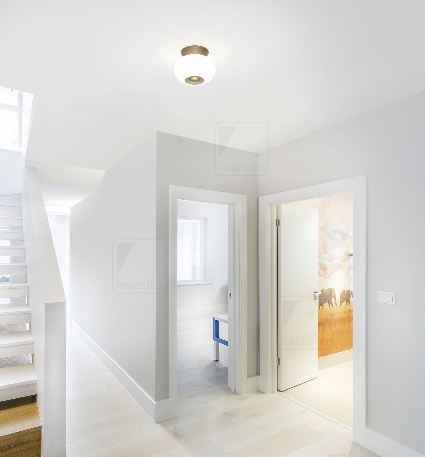 Helestra SAPO  ceiling luminaire aluminium coffee